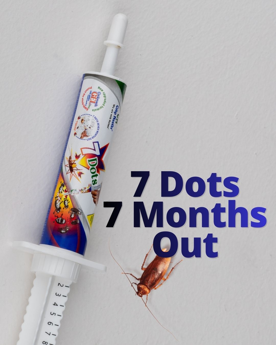 7 Dots Cockroach Gel - Image 5
